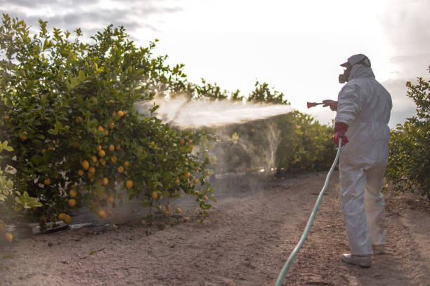 Best Exterminator Services  in Edisto, SC