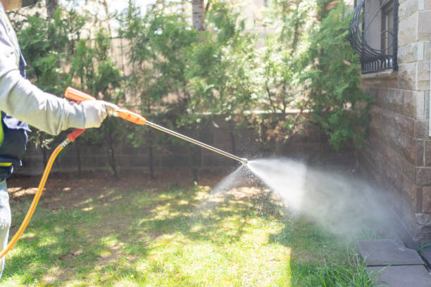 Best Wasp Removal Services  in Edisto, SC