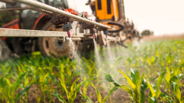 Best Pest Control Cost  in Edisto, SC